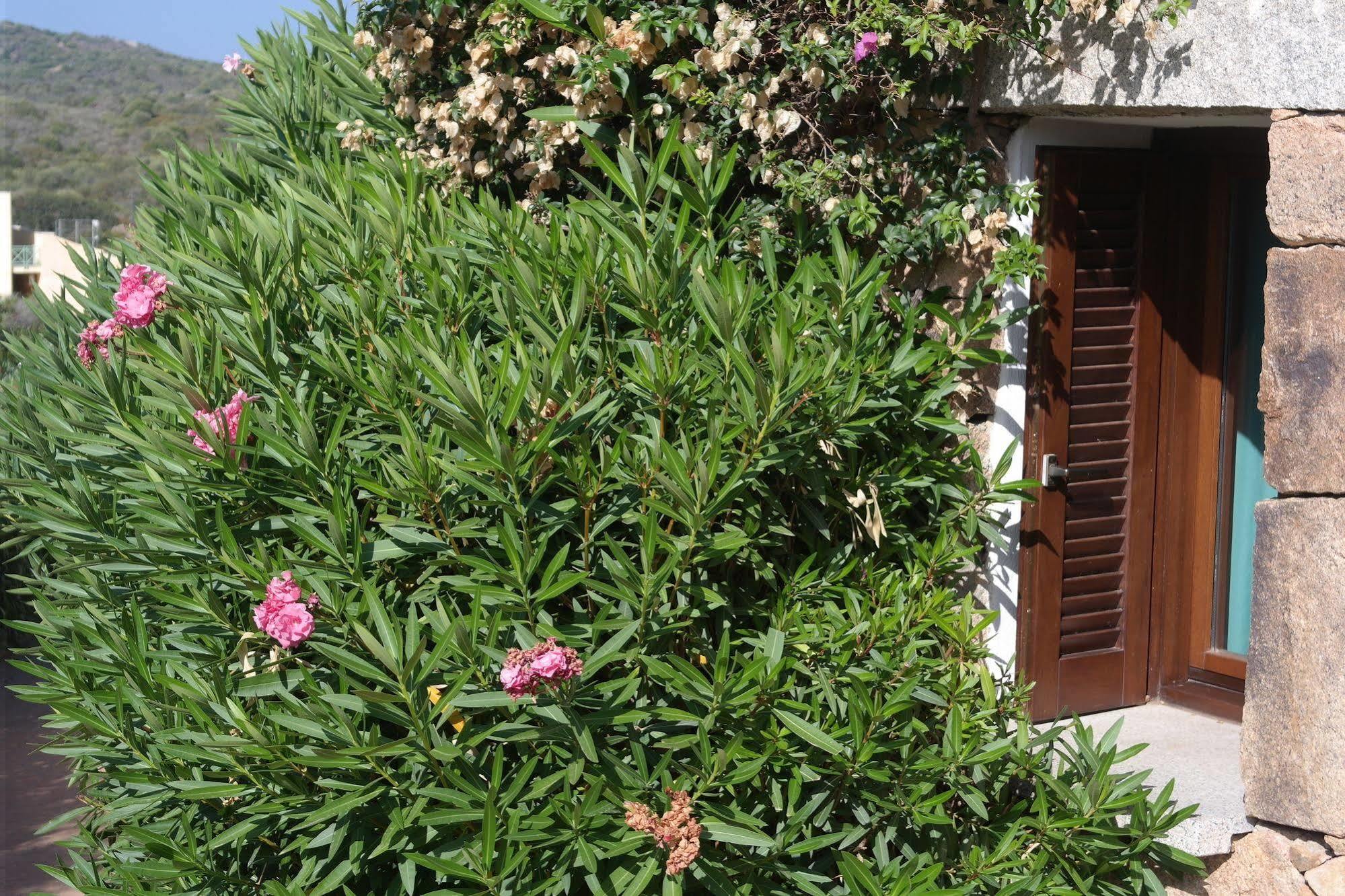 Sardinia Blu Residence Golfo Aranci Dış mekan fotoğraf